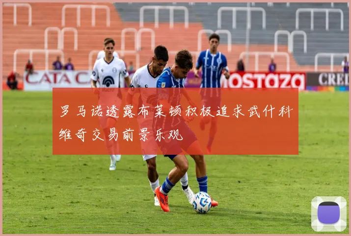 罗马诺透露布莱顿积极追求武什科维奇交易前景乐观